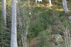 Parcourabbau 2011 Bild 5