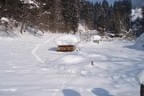 Winterwonderland Bild 2