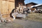 Beautyfarm Bild 10